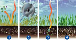 Rockton, Loves Park Aeration
