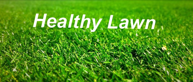 Machesney Park, Loves Park, Rockford, Roscoe il